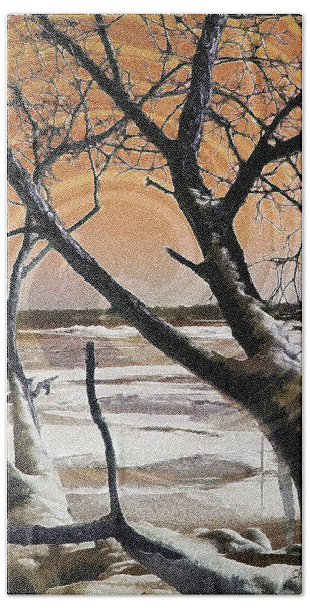 Winter Scene Bath Towel featuring the photograph Frozen in Time 2 by Shawna Rowe