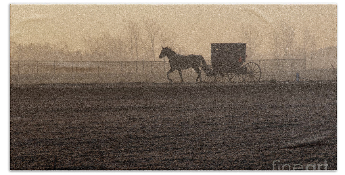Amish Horse And Buggy Hand Towel featuring the photograph Frozen Morning by David Arment