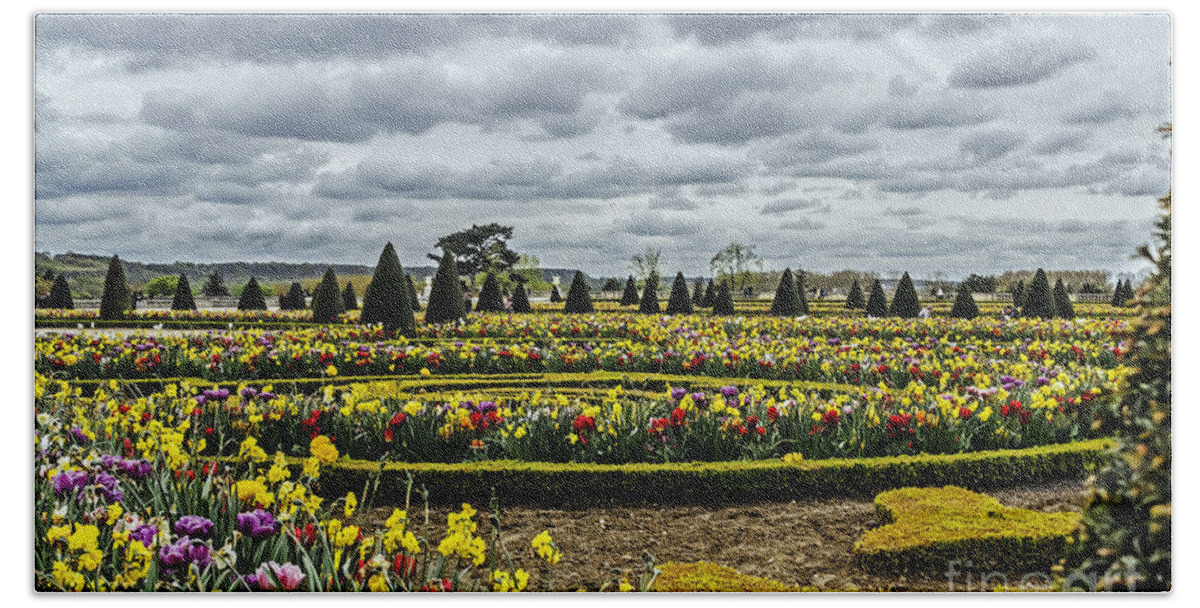 Landscape Hand Towel featuring the photograph Garden of Versailles by Elvis Vaughn