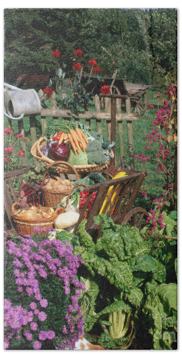Plant Bath Towel featuring the photograph Garden Vegetable Still-life by Hans Reinhard