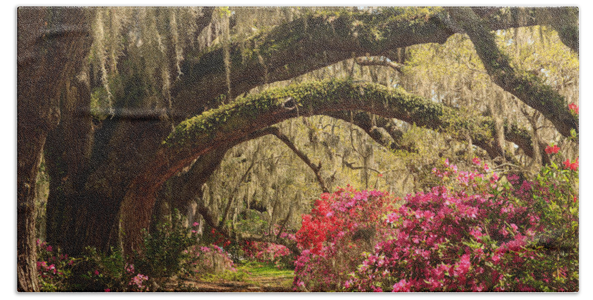 Magnolia Plantation And Gardens Bath Towel featuring the photograph Garden View by Patricia Schaefer
