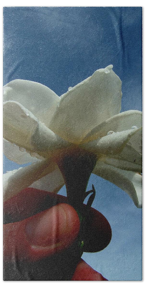 Gardenia Hand Towel featuring the photograph Gardenia For You My Dear by David Weeks