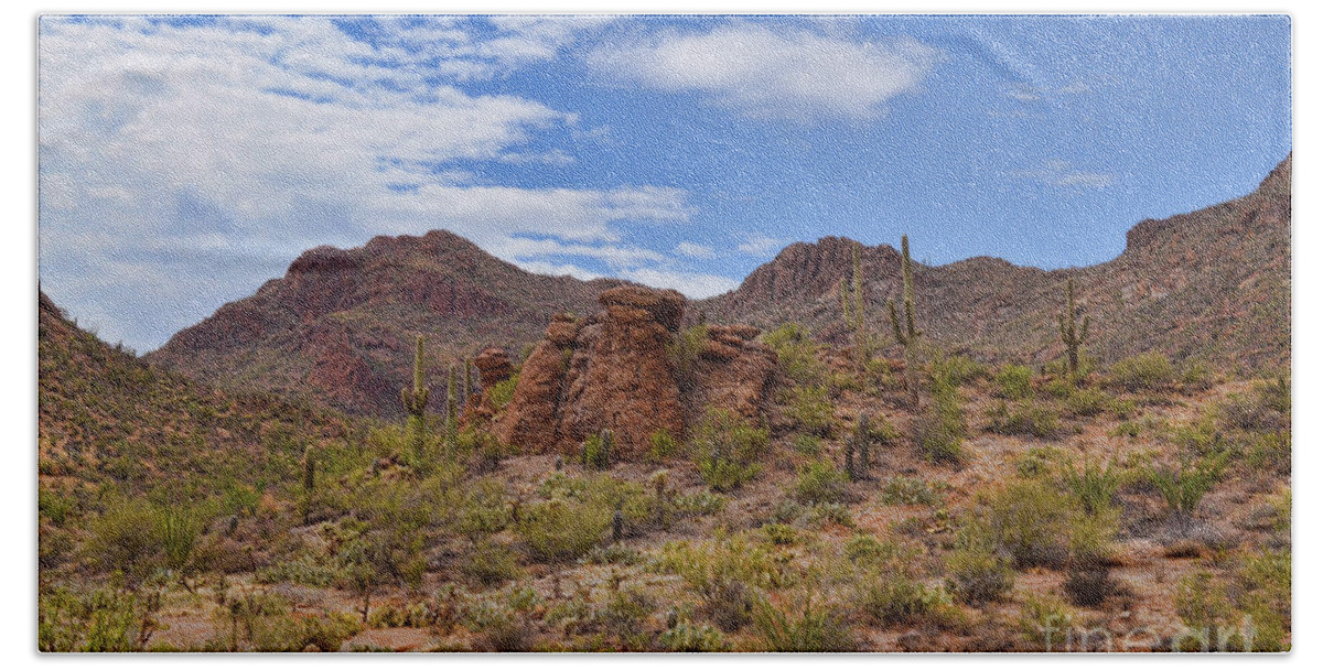 Gates Hand Towel featuring the photograph Gates Pass Scenic View by Donna Greene