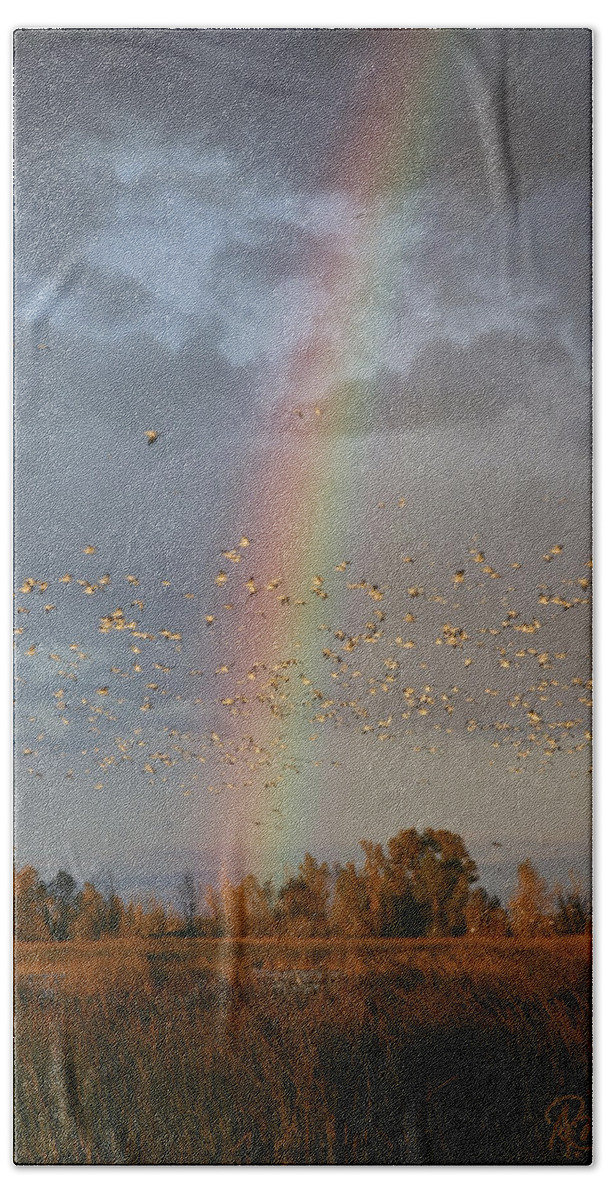 Geese Bath Towel featuring the photograph Geese and Rainbow by Ann Ranlett