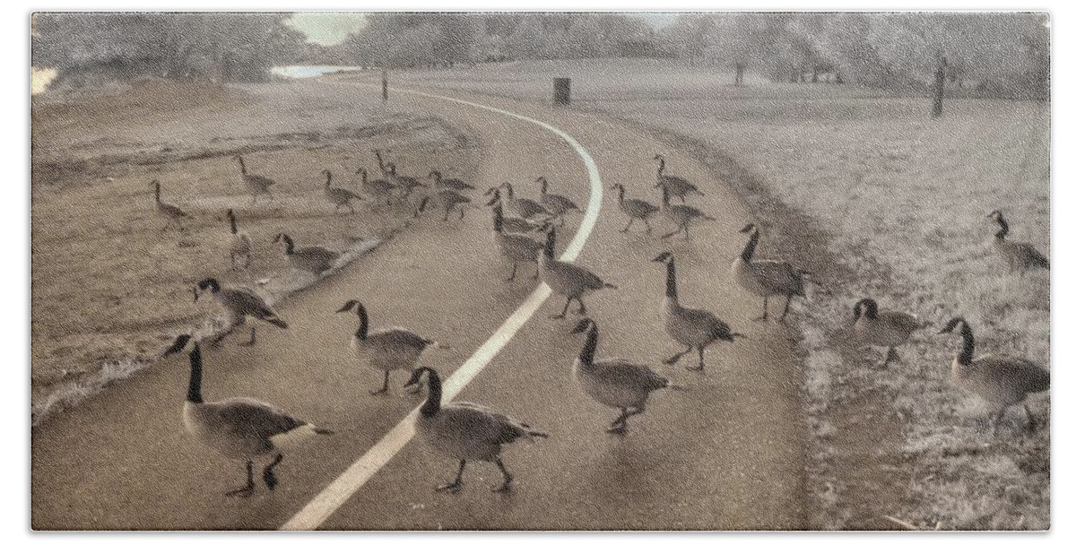 Goose Hand Towel featuring the photograph Geese Crossing by Jane Linders