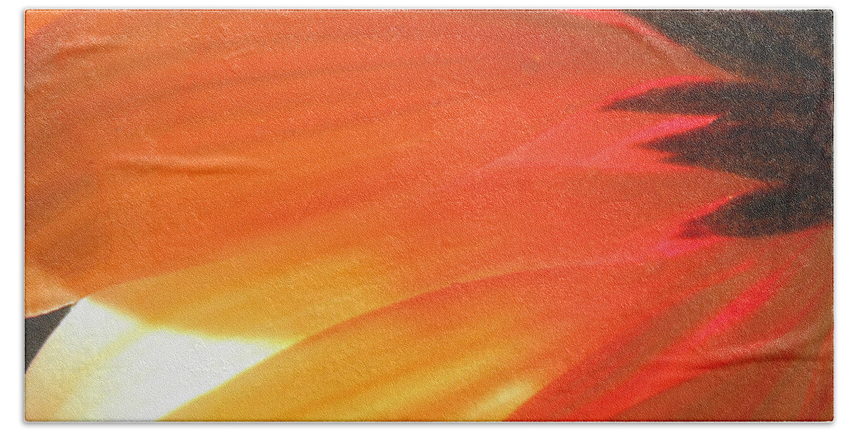 Daisy Bath Towel featuring the photograph Gentle Flame by Krissy Katsimbras