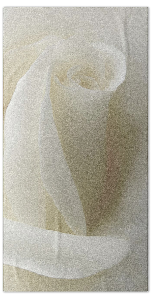 Rose Bath Towel featuring the photograph Gentle White Rose Flower by Jennie Marie Schell