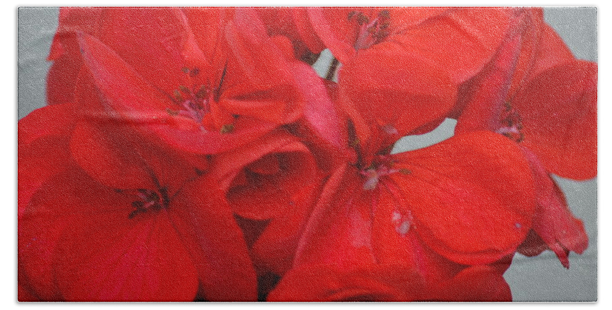 Geranium Red Bath Towel featuring the photograph Geranium Red by Maria Urso