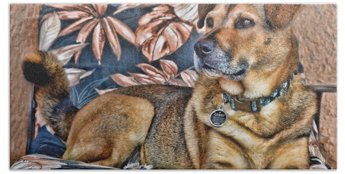 Dogs Hand Towel featuring the photograph Gerry and the Lounge Chair by Barbara Manis