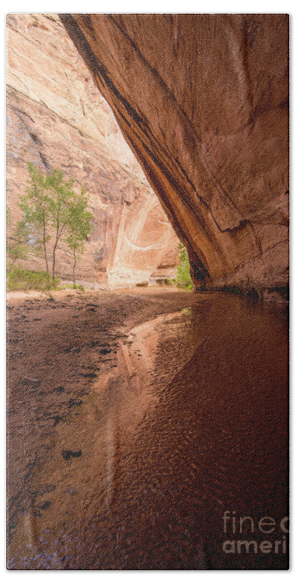 Alcove Bath Towel featuring the photograph Giant Alcove Coyote Gulch - Utah by Gary Whitton
