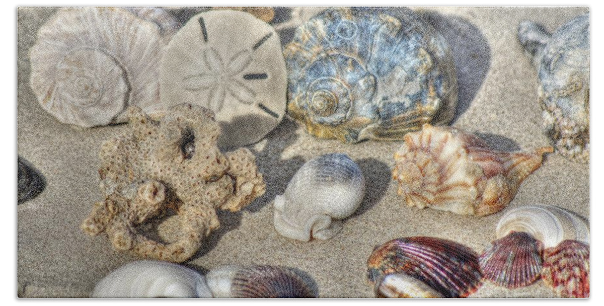 Seashells Hand Towel featuring the photograph Gifts of the Tides by Benanne Stiens