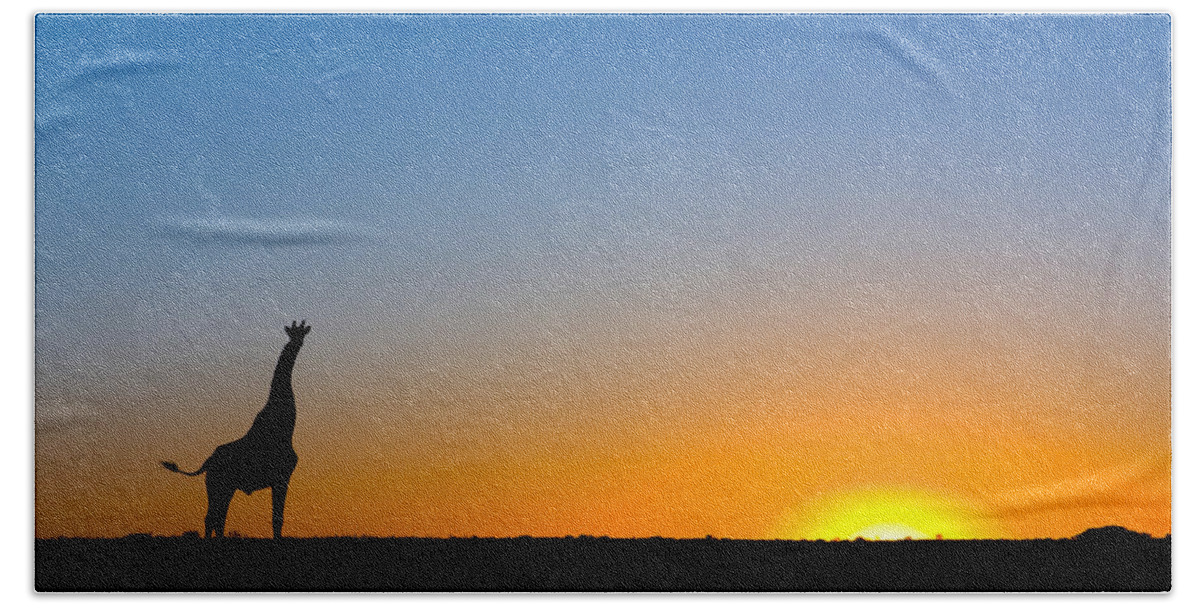 00425257 Bath Towel featuring the photograph Giraffe Against the Setting Sun by Vincent Grafhorst
