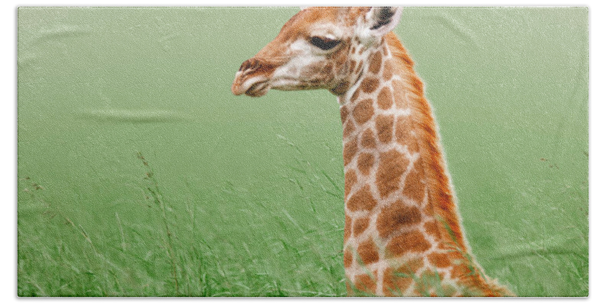 Giraffe Hand Towel featuring the photograph Giraffe lying in grass by Johan Swanepoel