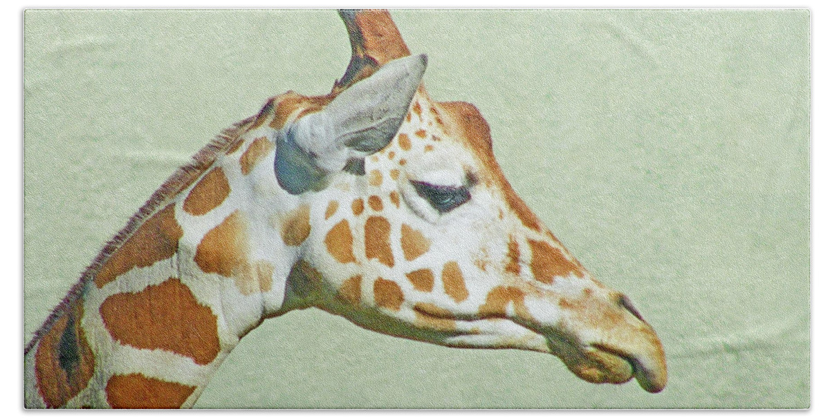 Giraffe Bath Sheet featuring the digital art Giraffe Mug Shot by Lizi Beard-Ward