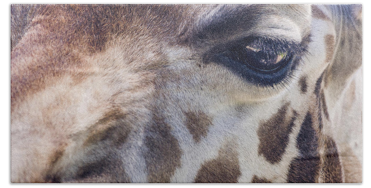 Nimals Bath Towel featuring the photograph Giraffe by Steven Ralser