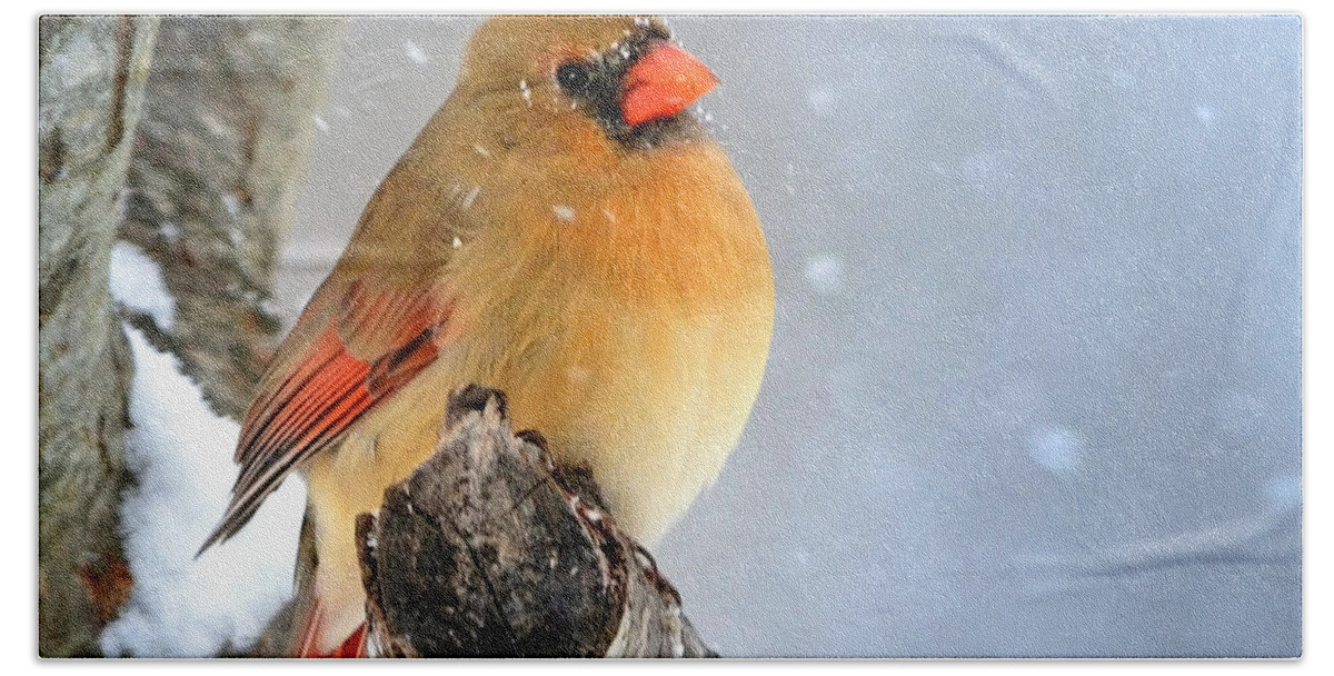 Nature Bath Towel featuring the photograph Glowing In The Snow by Nava Thompson