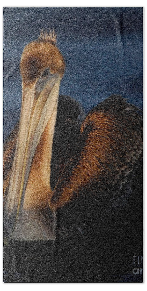 Pelican Bath Towel featuring the photograph Golden Beauty by Quinn Sedam
