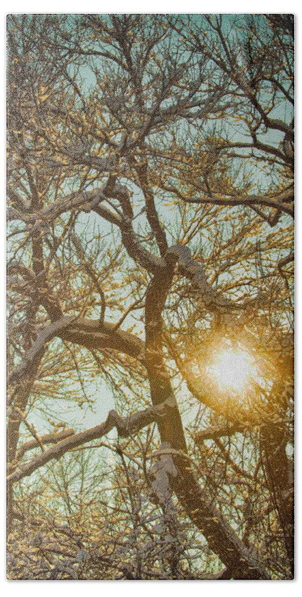 Trees Bath Towel featuring the photograph Golden Branches In The Snow by James BO Insogna