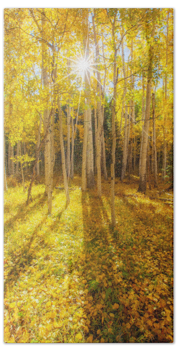 Aspens Hand Towel featuring the photograph Golden by Darren White