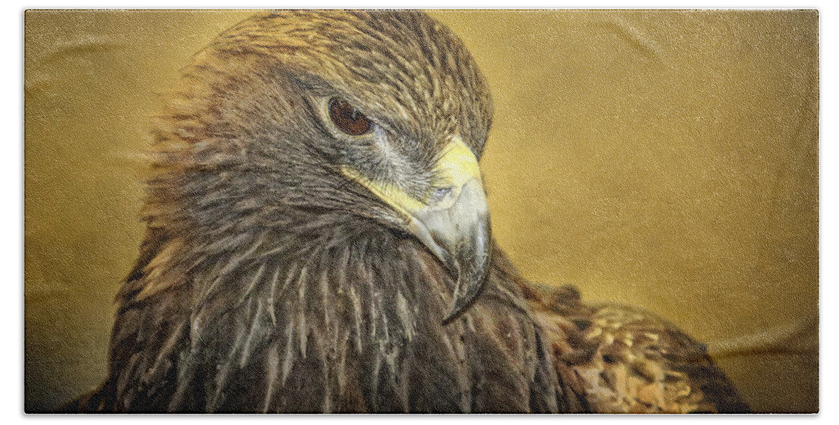 Golden Eagle Hand Towel featuring the photograph Golden Eagle Portrait by Eleanor Abramson