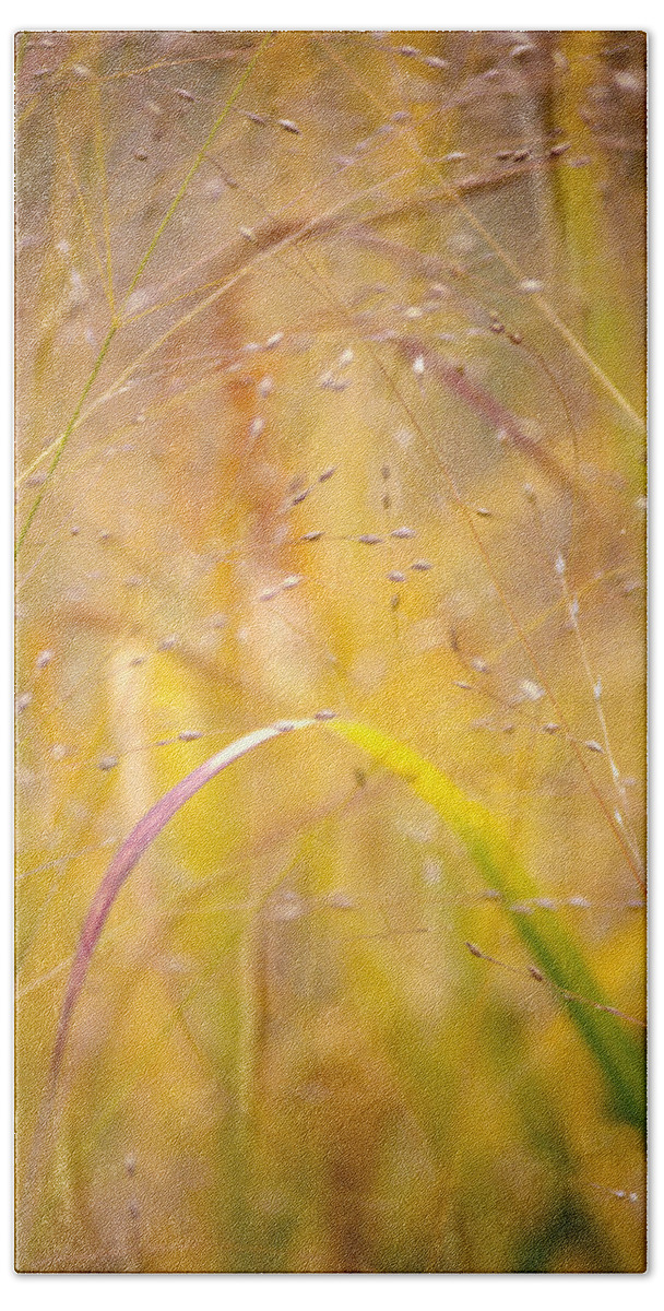 Autumn Bath Towel featuring the photograph Golden Grass by Matthew Pace