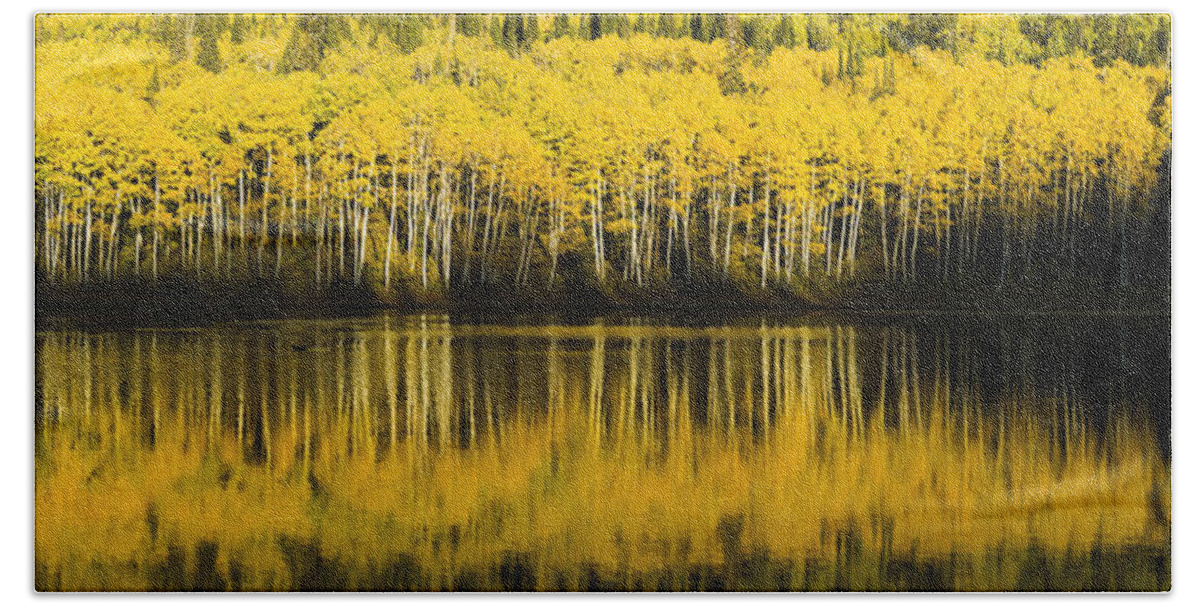 Fall Bath Towel featuring the photograph Golden Lake by Chad Dutson
