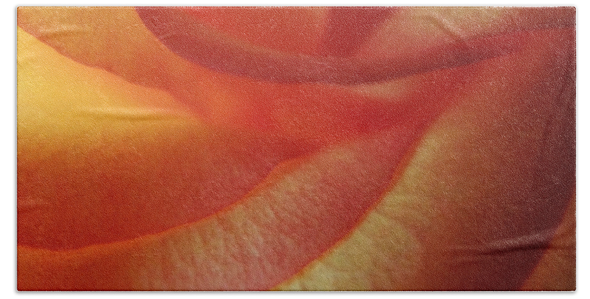 Nature Hand Towel featuring the photograph Golden Orange Rose Macro by Joseph Hedaya