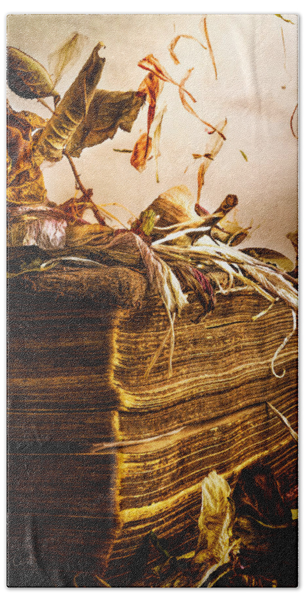 Book Bath Sheet featuring the photograph Golden Pages Falling Flowers by Bob Orsillo