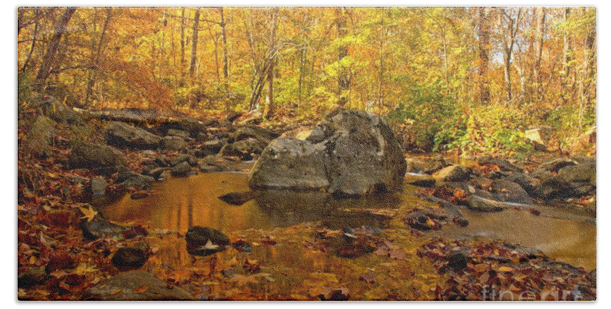 Fall Stream Bath Towel featuring the photograph Golden Streams At New River Gorge by Adam Jewell
