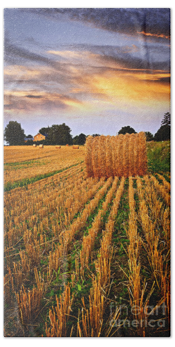 Farm Hand Towel featuring the photograph Golden sunset over farm field in Ontario by Elena Elisseeva