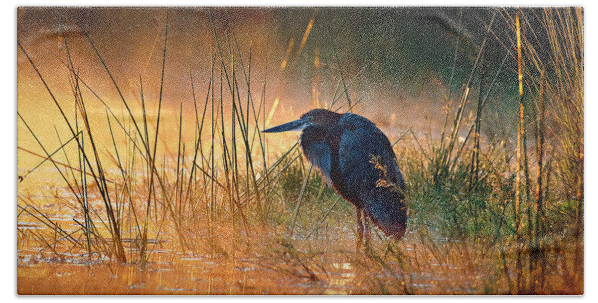Heron Hand Towel featuring the photograph Goliath heron with sunrise over misty river by Johan Swanepoel