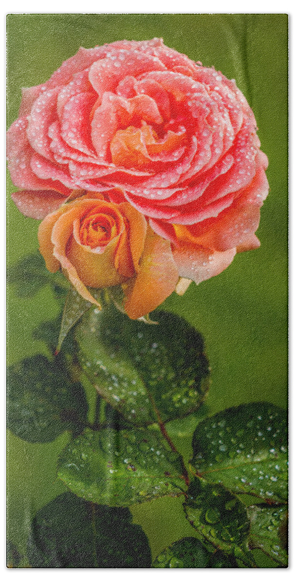 Rose Bath Towel featuring the photograph Good Morning Beautiful by Ken Stanback