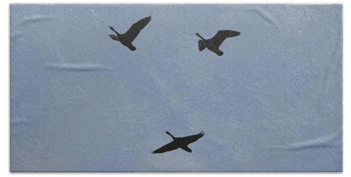 Goodbye Hand Towel featuring the photograph Goodbye Geese by Amy Gallagher