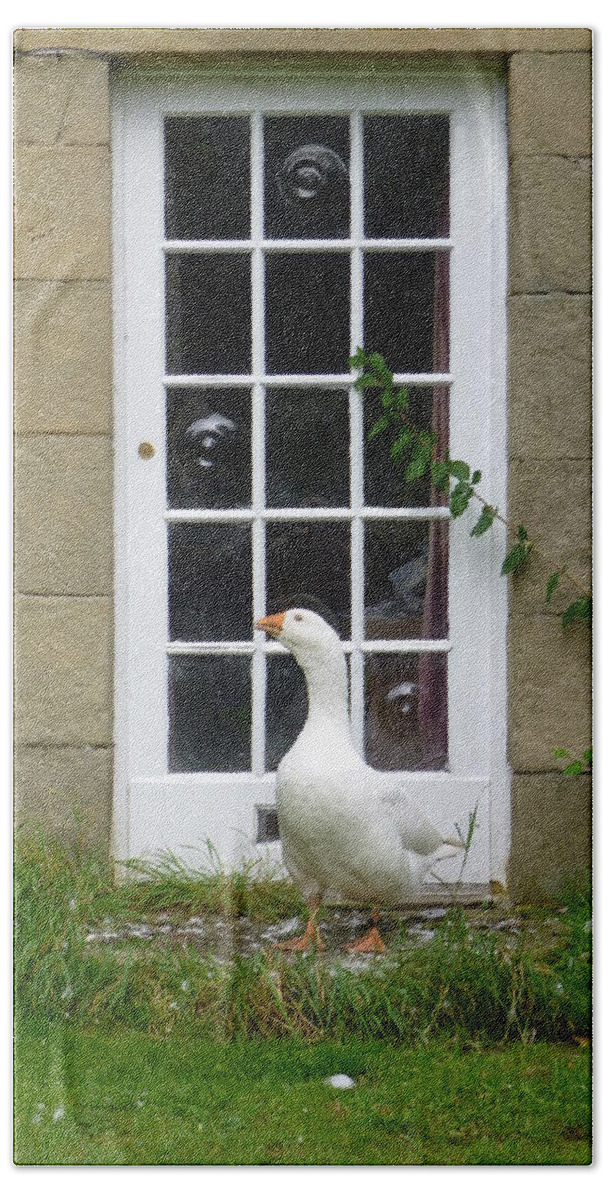 Goose Bath Towel featuring the photograph Goose at the Door by Asa Jones