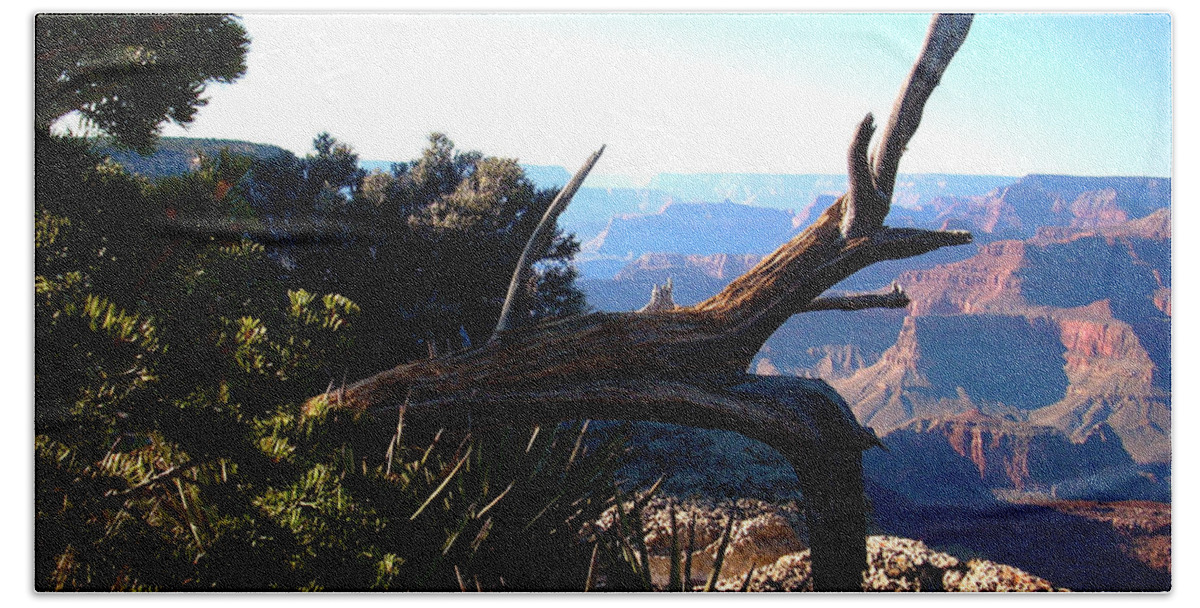 Tree Bath Towel featuring the photograph Grand Canyon Dead Tree by Matt Quest
