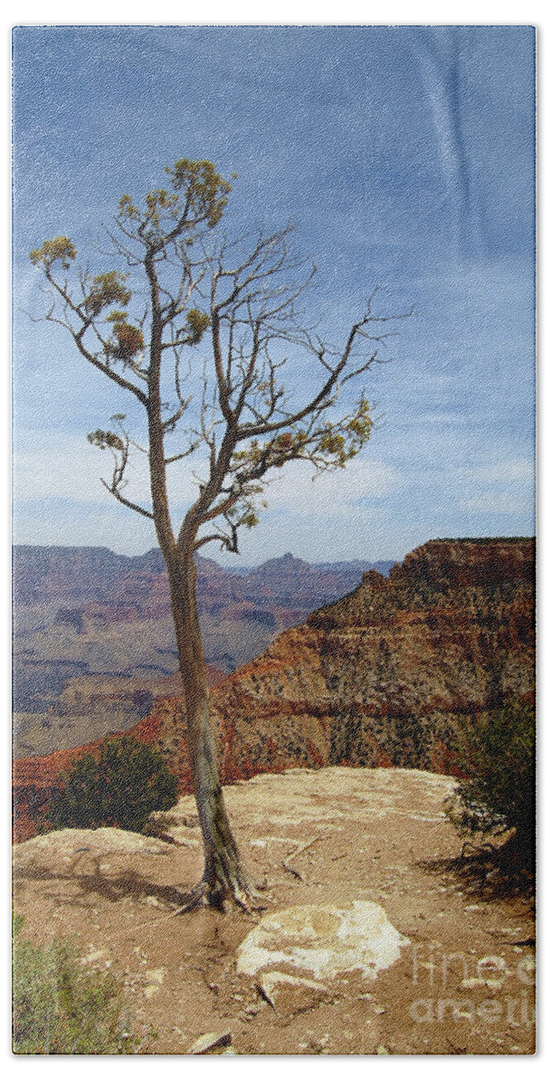 Grand Canyon Bath Towel featuring the photograph Grand Canyon Rim View by Debra Thompson