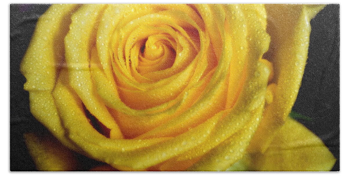 Rose Bath Towel featuring the photograph Grandeur of Nature. Yellow Rose II by Jenny Rainbow