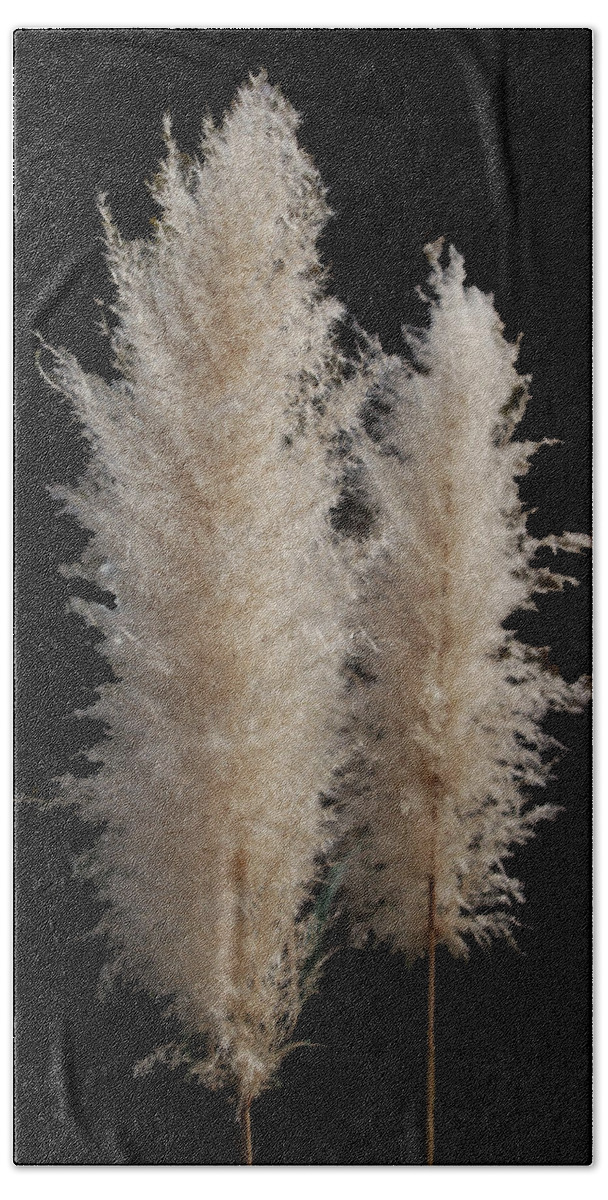 Grass Hand Towel featuring the photograph Grass Plume by John Dauer
