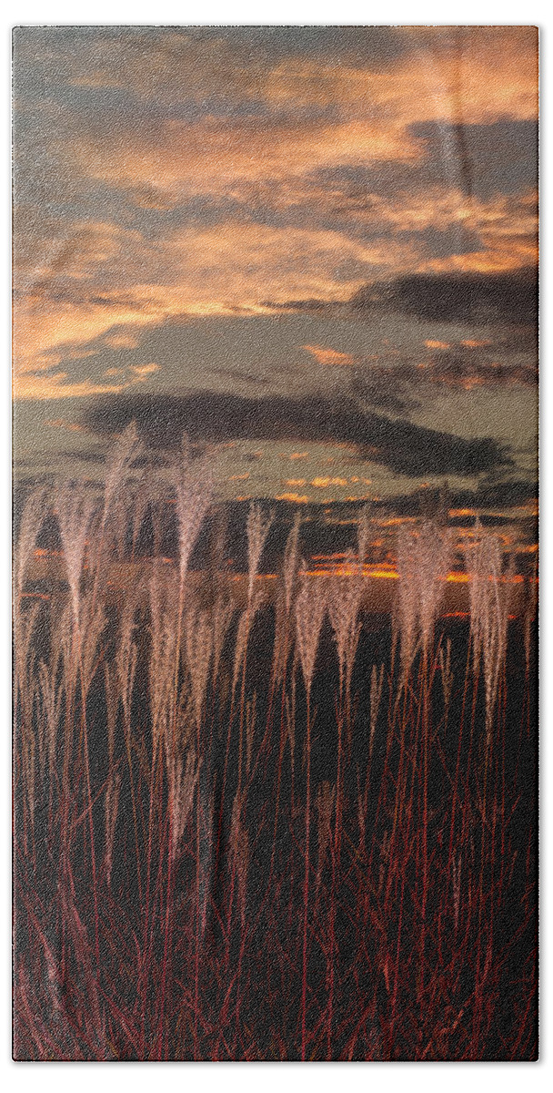 Ron Pate Bath Towel featuring the photograph Grassy Sunset by Ron Pate