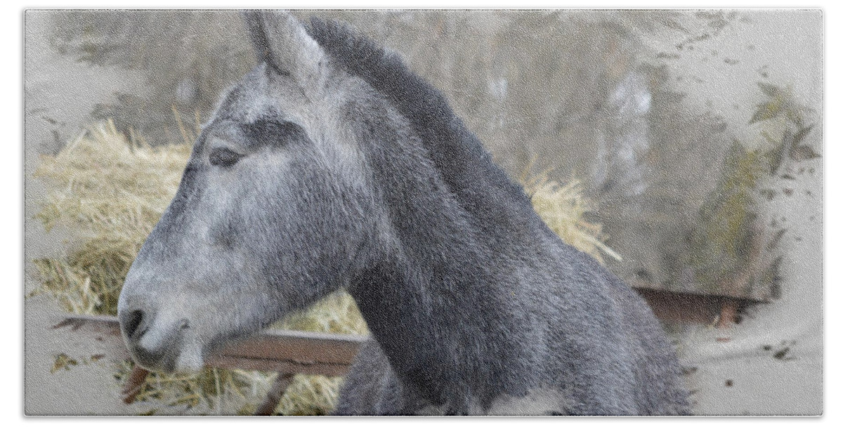 Mule Bath Towel featuring the photograph Old Gray by Bonfire Photography