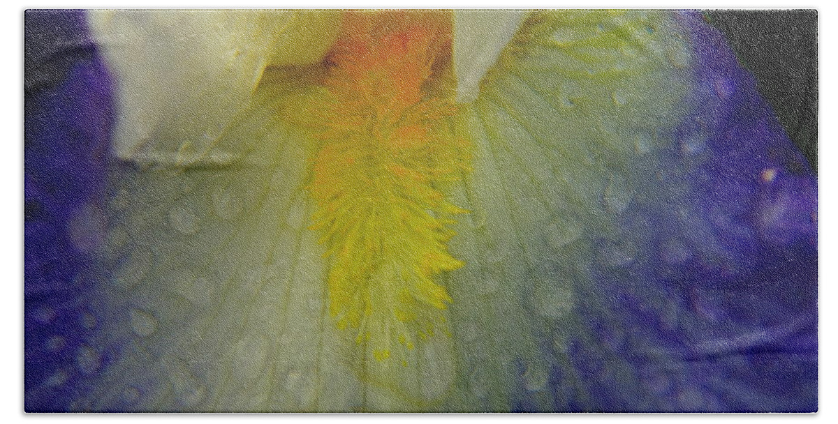 Water Drops Bath Towel featuring the photograph Great Beauty In Tiny Places by Jeff Swan