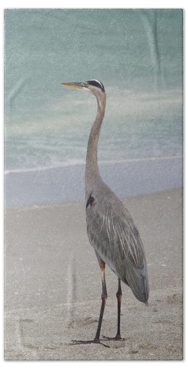 Great Blue Heron Hand Towel featuring the photograph Great Blue Heron by Kim Hojnacki