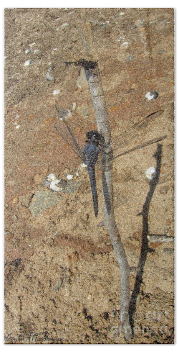 Insect Hand Towel featuring the photograph Slaty Skimmer Dragonfly Shadow by Donna Brown