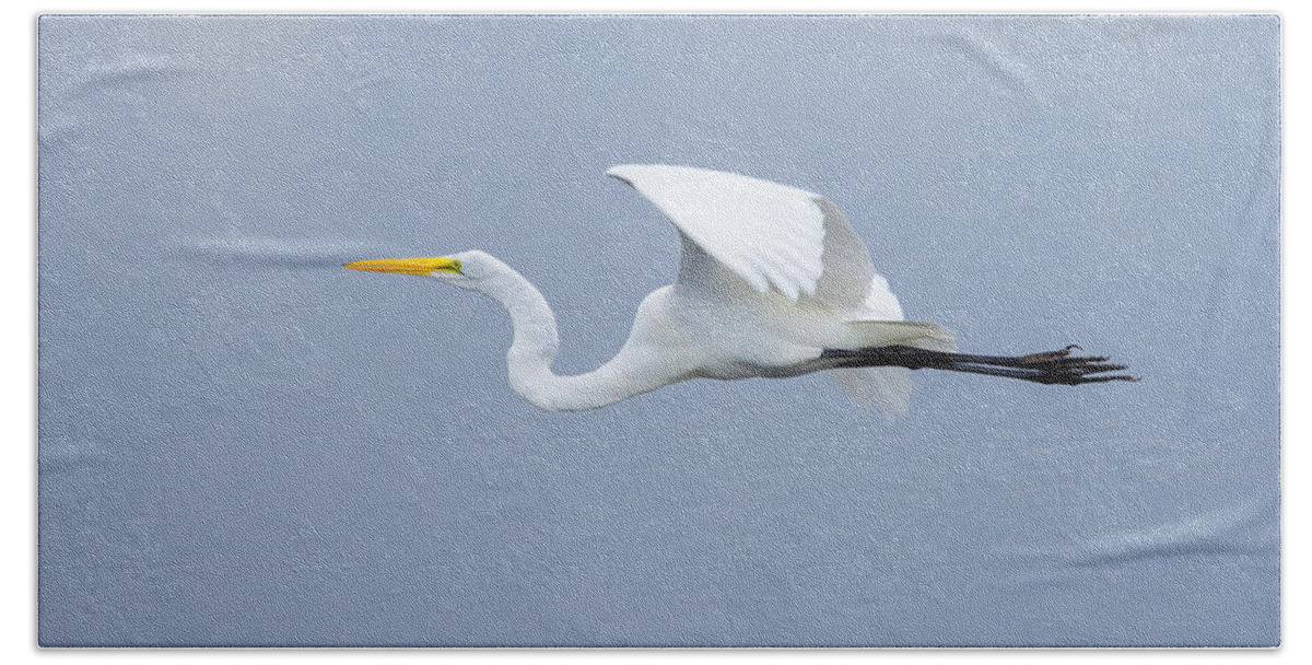 Adult Hand Towel featuring the photograph Great Egret in Flight by John M Bailey