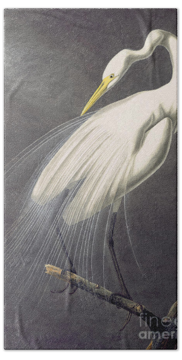 Audubon Watercolors Hand Towel featuring the painting Great Egret by Celestial Images