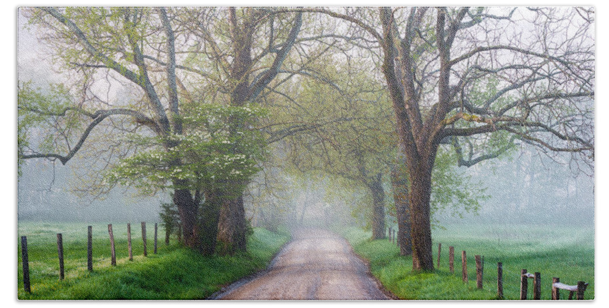 Bloom Bath Towel featuring the photograph Great Smoky Mountains National Park Cades Cove Country Road by Dave Allen