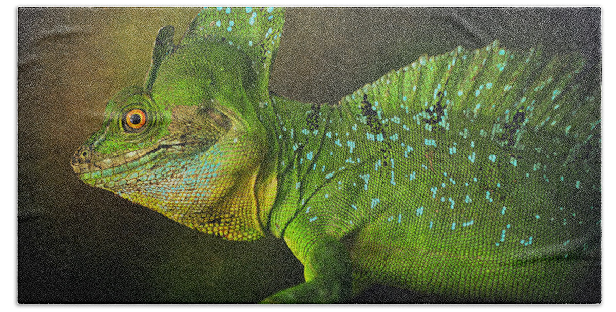Lizard Bath Towel featuring the photograph Green Basilisk by Maria Angelica Maira