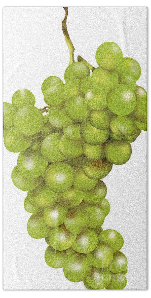 Bunch Hand Towel featuring the digital art Green Bunch Of Grapes by Gina Koch