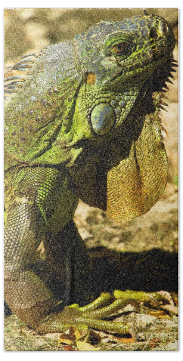 Iguana Bath Towel featuring the photograph Green Cozumel Iguana by Adam Jewell