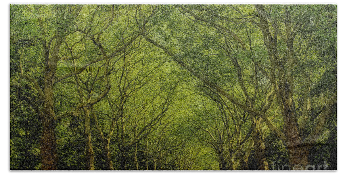 Trees Bath Towel featuring the photograph Green Green World by Teresa Zieba